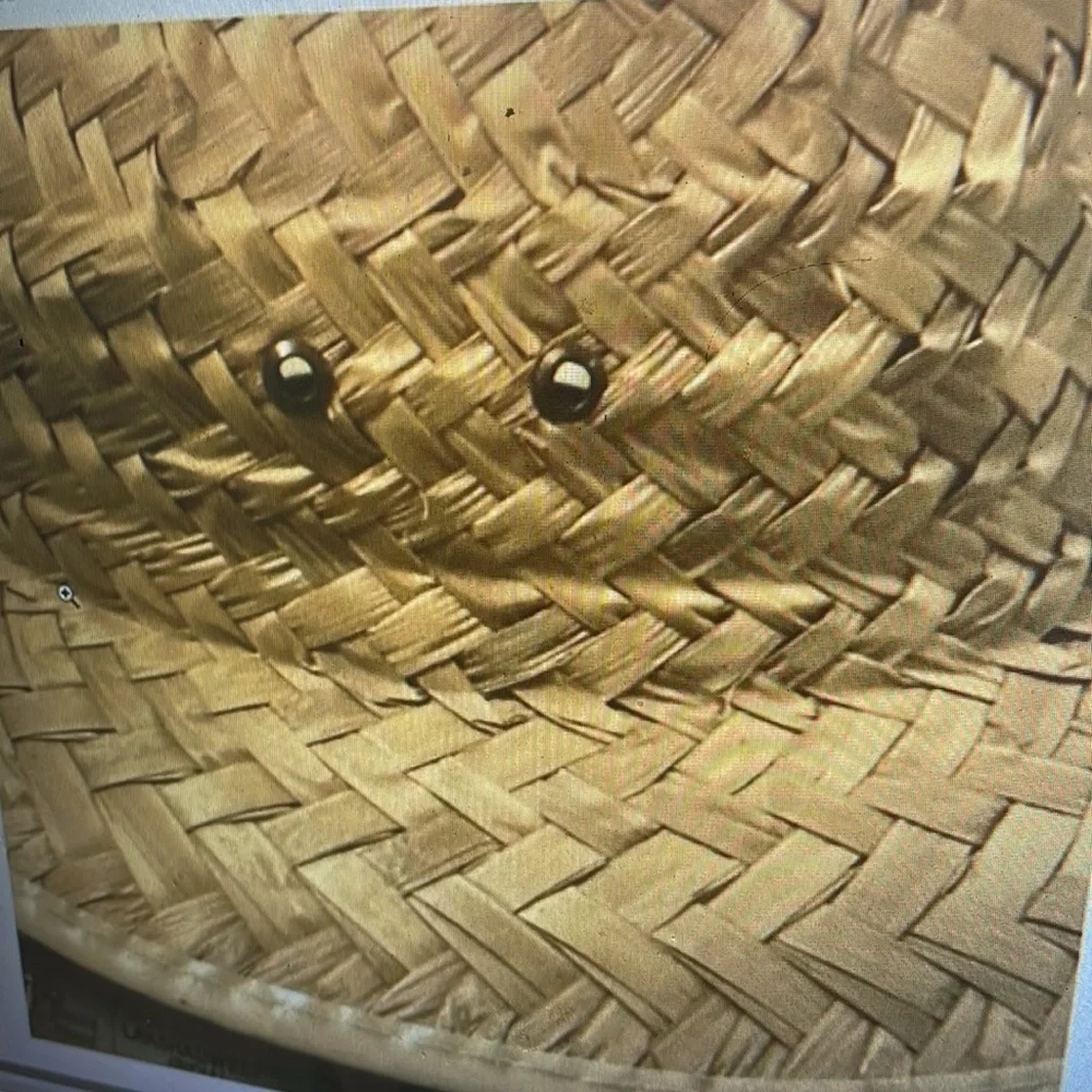 Safari straw hat